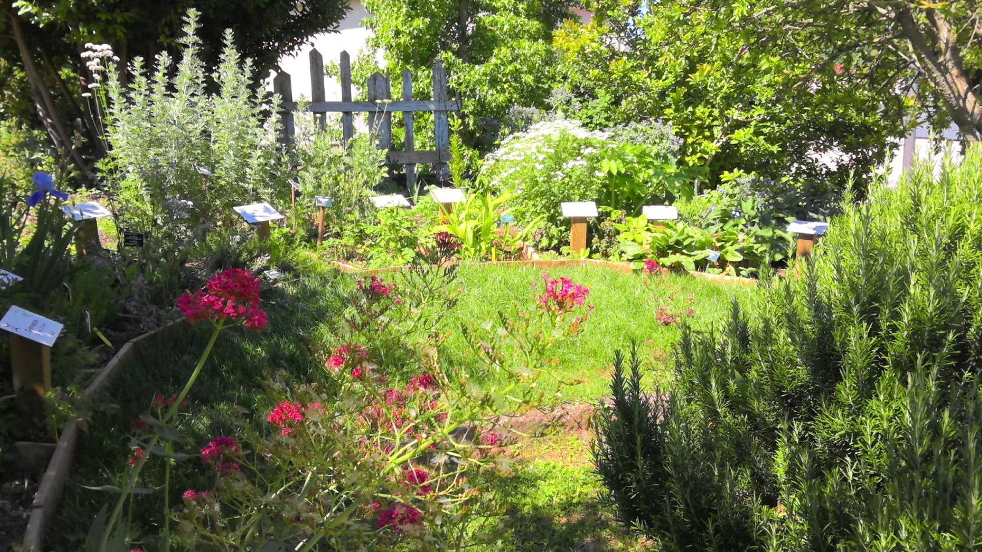 La Maison Lourego Tournesol *